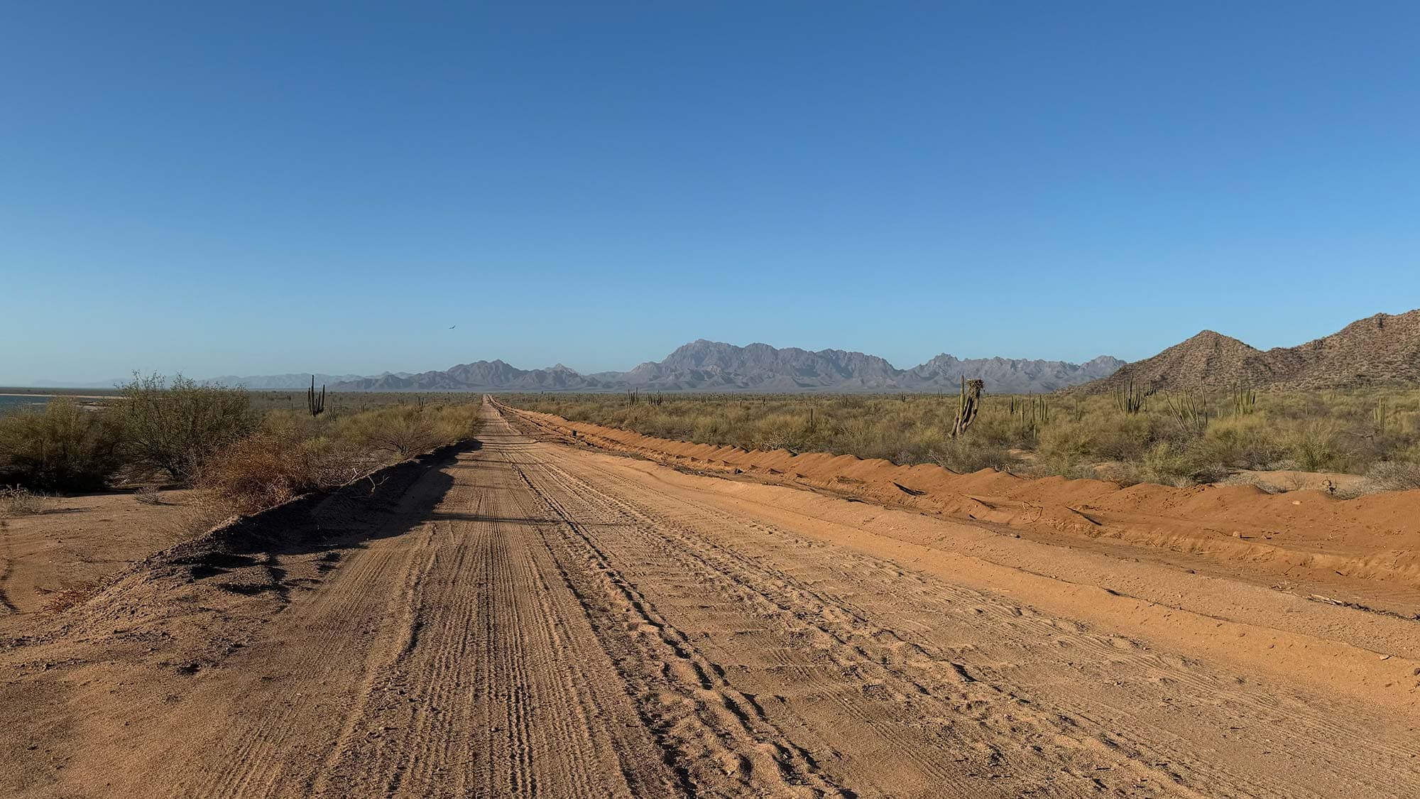 A quiet road extending toward the horizon, suggesting continuity and calm forward movement.